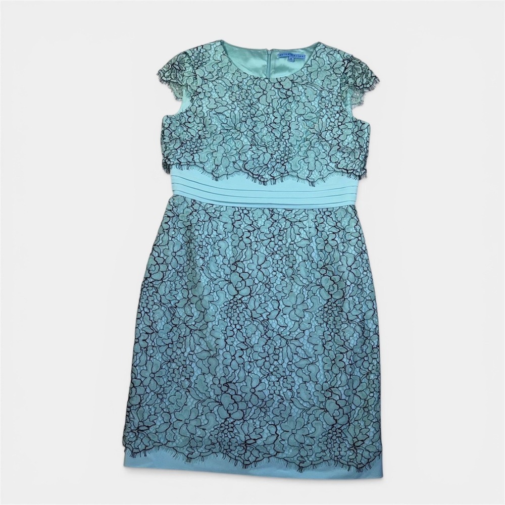 Antonio‎ Melani Mint Green Black Floral Lace Sheath Dress Cap Sleeve Size 10 - Picture 2 of 14